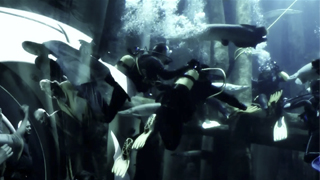 Primer Buceo Solidario en Favor de ATECEA | Productora 5 y Accion