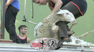 Teaser Speed Shear IV | Productora 5 y Accion